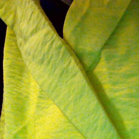 Brand New by Anthropologie The Dylon Sleeveless Wide-Placket Halter Top - Picture 7 of 9